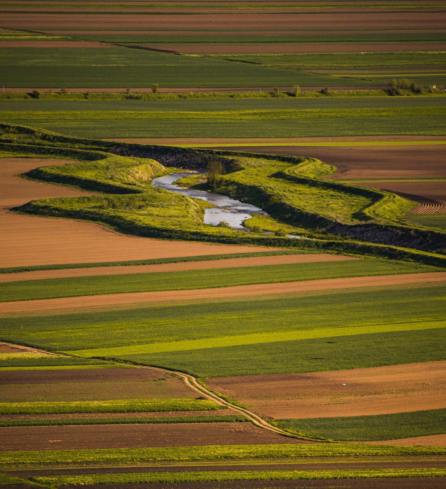 Aerial view of farmland split by a winding creek and its band of trees