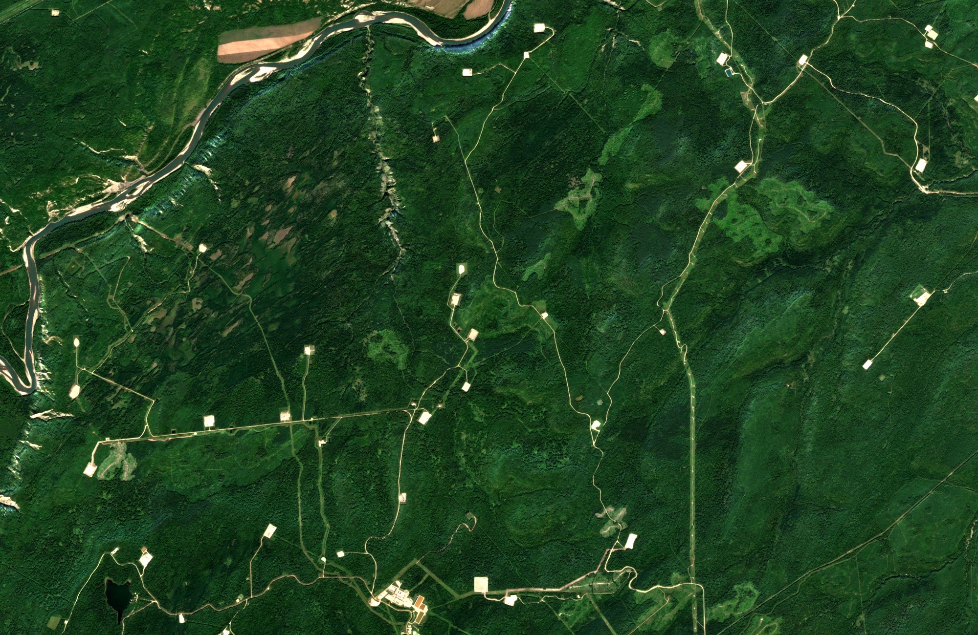 Satellite view of boreal forest southwest of Fort St. John, British Columbia, crossed by straight seismic lines, winding access roads and pale square well pads