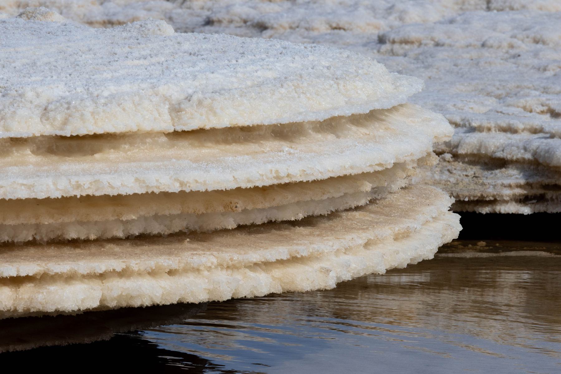 Layered sheets of salt crust at the edge of a saline lake, each sheet marking a former water level