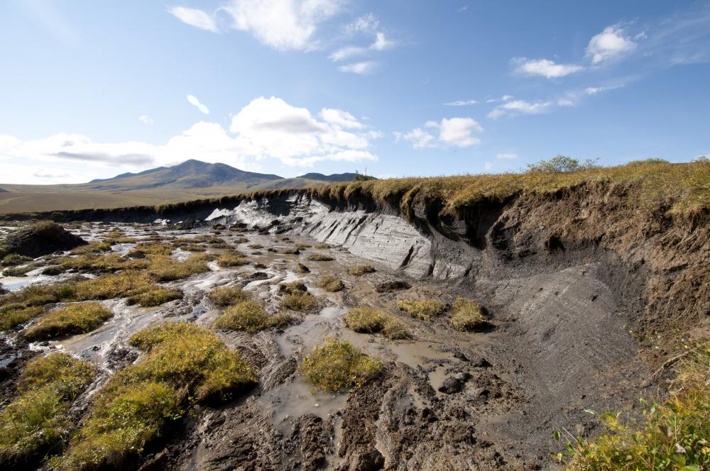 A thaw slump on Arctic tundra: a collapsed bank of dark, ice-rich soil below a lip of grass, with mud and broken turf spilling across the ground in front