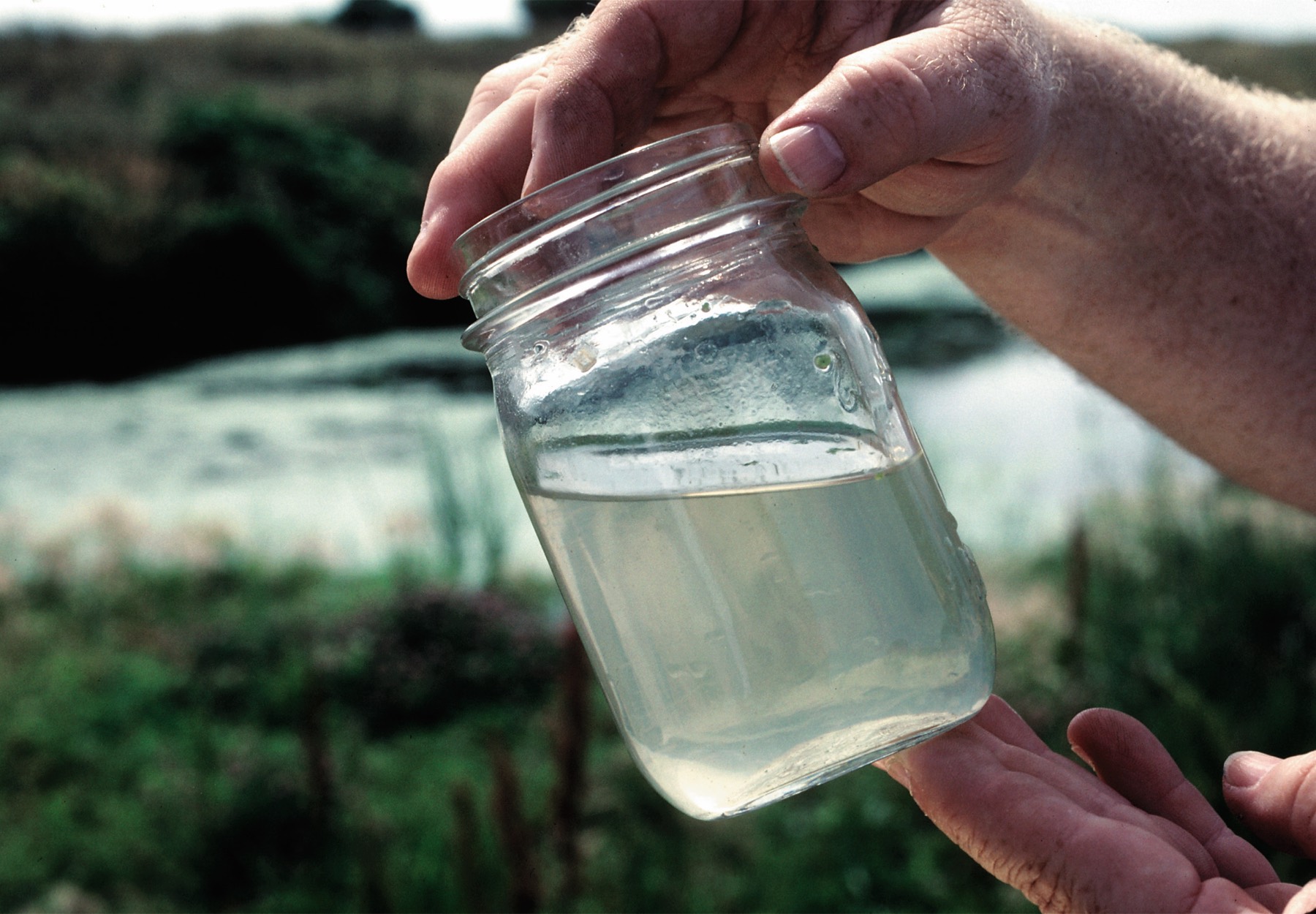 Hands holding a glass jar of cloudy water taken from a wetland, with the wetland behind